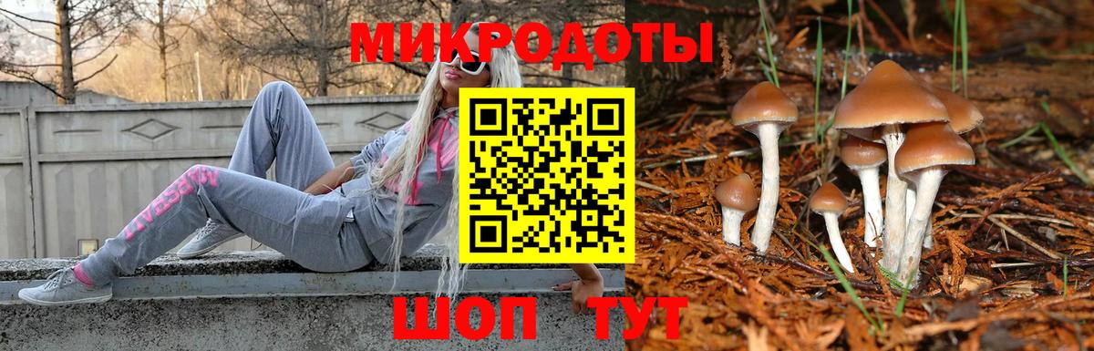 Галлюциногенные грибы мицелий Вичуга